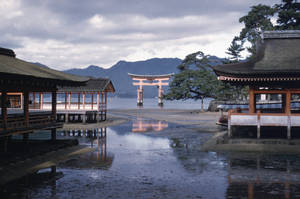 Photograph taken by Alexandre Kojève during his travels through Japan in 1959. Courtesy Bibliothèque nationale de France. © Nina Kousnetzoff. 